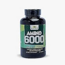 NATURES FIELD AMINO 600MG X90TABS